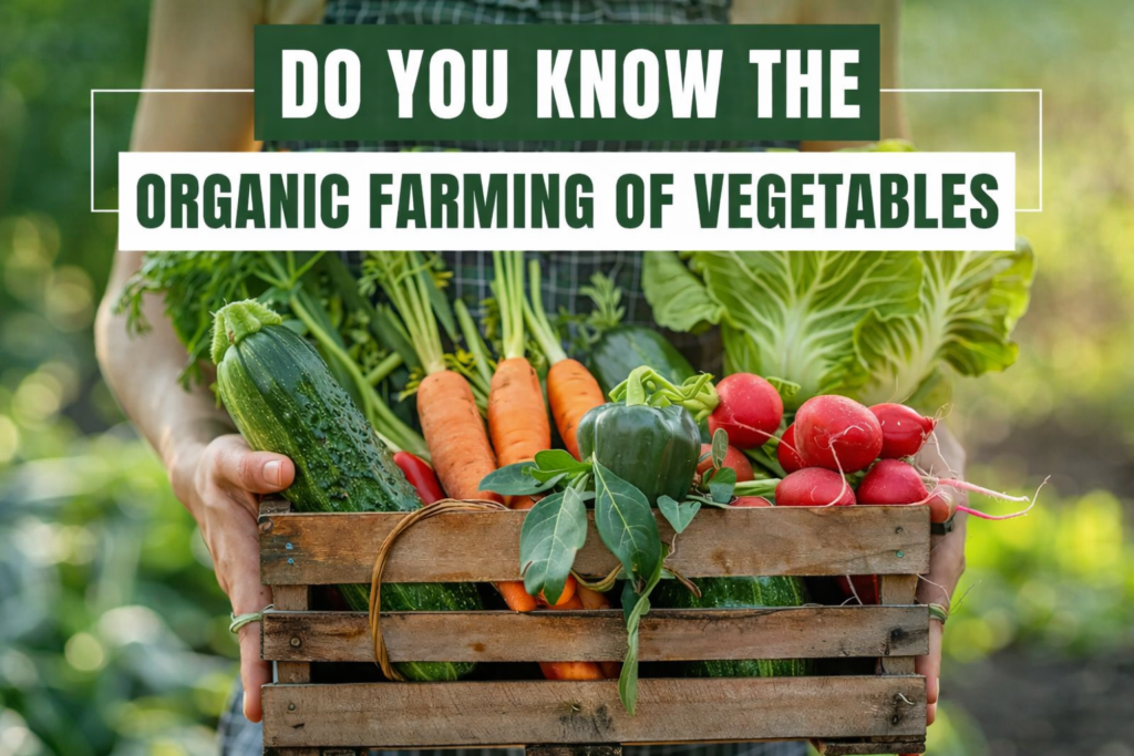 Alt Text: Organic farming of vegetables with fresh carrots, radish, cucumber and green vegetables