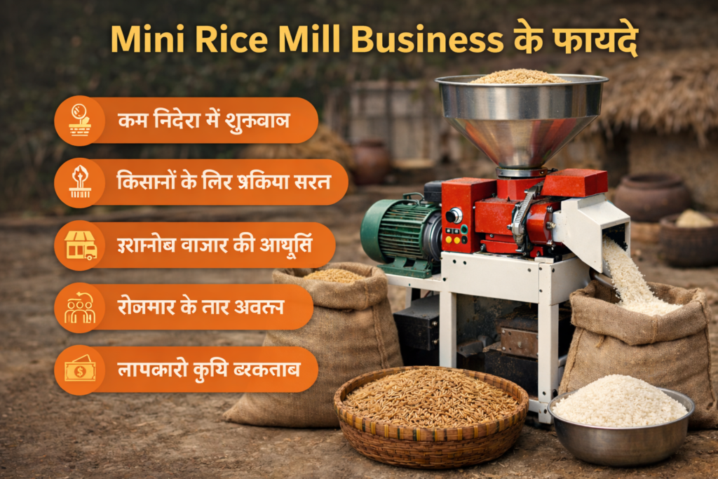 Mini Rice Mill Business benefits infographic showing advantages of small scale rice milling setup