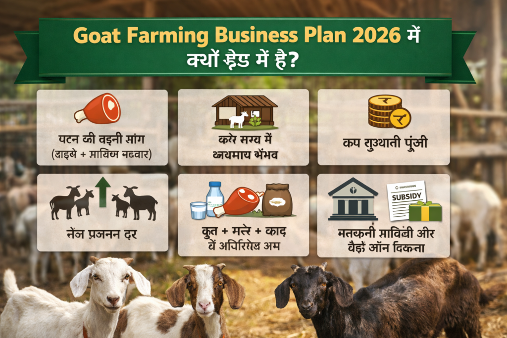 “Goat Farming Business Plan 2026 इन्फोग्राफिक जिसमें बकरी पालन के फायदे, बढ़ती मटन डिमांड, कम निवेश, तेज प्रजनन दर और सरकारी सब्सिडी की जानकारी दिखाई गई है।”